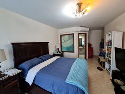 Cairnhill Plaza (D9), Apartment #490138501